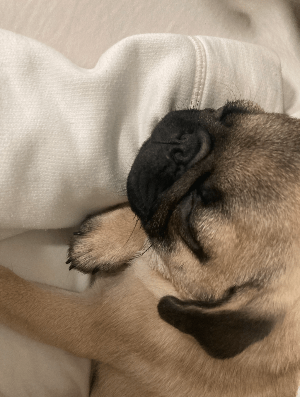 A história de como consegui a&nbsp;Charlotte